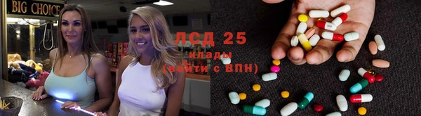 крисы Алексин