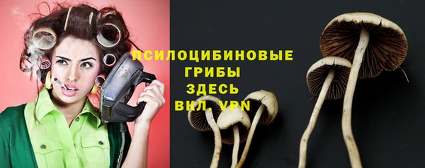 винт Абинск