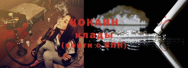 крисы Алексин