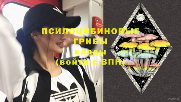 винт Абинск